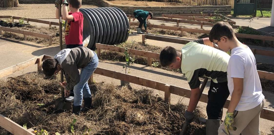 Cours des écoles Martin Luther King (29)