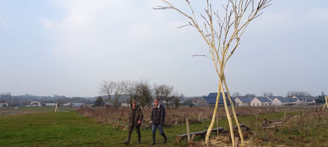 Le pâtis des Guernazelles (41)